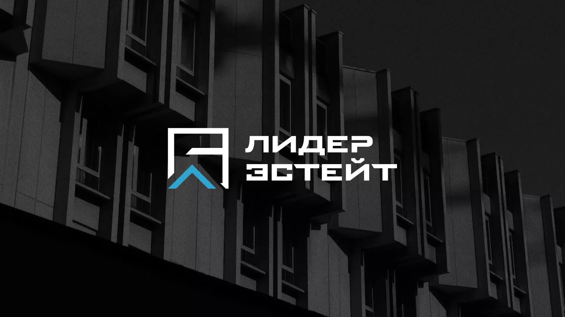 Разработка логотипа агентства недвижимости «Лидер Эстейт» в Алексине